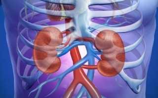 Методы диагностики: что лучше КТ или МРТ почек?