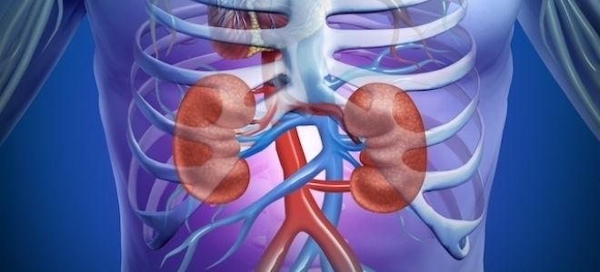 Методы диагностики: что лучше