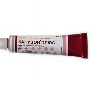 Канизон
